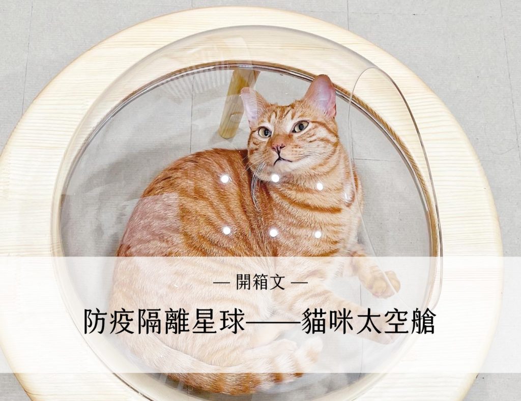 防疫隔離星球—貓咪太空艙